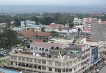 Article: There is every reason to rethink land use for posterity’s sake – Dr Elias Mokua