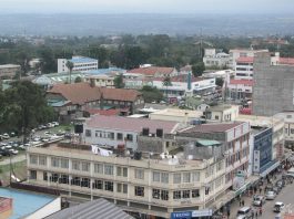 Article: There is every reason to rethink land use for posterity’s sake – Dr Elias Mokua
