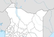 Group to build monument in honour of Mekatilili