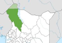 Africa Oil Corporation lacks capital to exploit Kenya’s oil fields