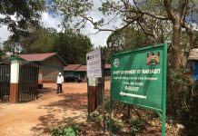 Article: Teamwork that community projects require to succeed – Peris Mangira