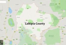 Nanyuki’s expansive land draws property developers (Laikipia County)