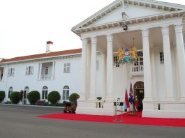 Opinion: Will offshore wealth papers unlock our Pandora’s Box? – Dennis Kabaara state house, presidential directive