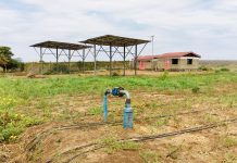 Article: Land sub-division hurting Kenya’s farming – Kipkemboi Rotuk