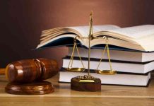 KPA loses bid to halt port grains facility tender suit