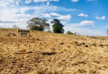 Opinion: How Counties can support communities on community land matters (Part I) – Guest Author