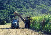 Farmers oppose Sony Sugar leasing over Sh560 million arrears