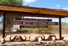 Taita Taveta county seeks President’s help over Tsavo revenue row