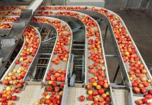 Boost for fruit farmers as Kwale processing plant reopens