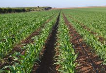 EACC probes Galana land grab claims