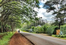 Muthaiga, Donholm top Nairobi land price gains