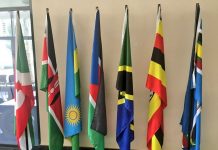 Kenya gears up to tap into massive DR Congo market