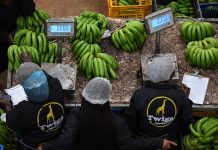 Twiga Foods, Bamburi Cement face goods auction over tax