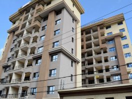 Opinion: Here are the options available for real estate sector in Kenya – Ruth Nyasinga