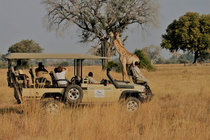 safari tourism