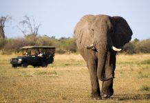 Nairobi park offers free entry for elderly, disabled