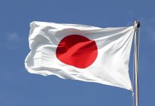 Kenya plans to tap Japanese expertise to spur production